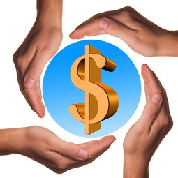 爱游戏电竞官网-体育教学中增强现实与虚拟现实融合应用，结合教学实践谈谈示范在体育教学中的运用